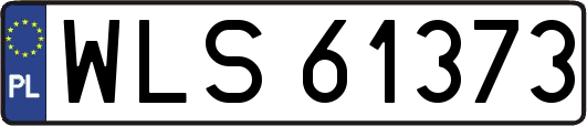 WLS61373