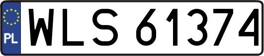 WLS61374