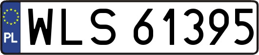 WLS61395