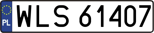 WLS61407