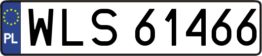 WLS61466