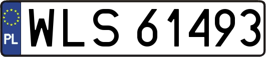 WLS61493