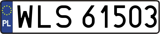 WLS61503