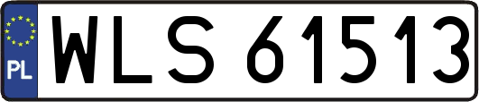 WLS61513