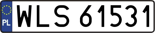 WLS61531