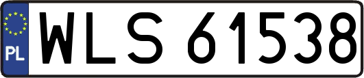 WLS61538