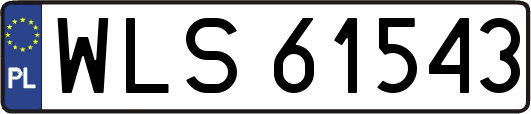 WLS61543