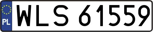 WLS61559