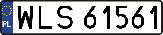WLS61561