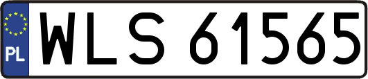 WLS61565