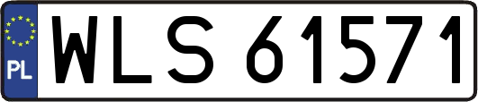 WLS61571