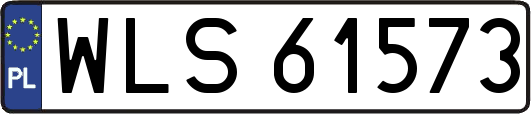 WLS61573