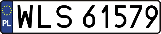 WLS61579