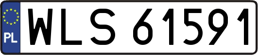 WLS61591