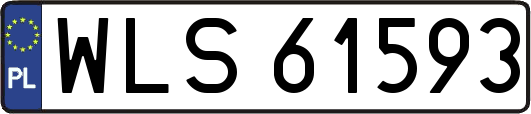 WLS61593