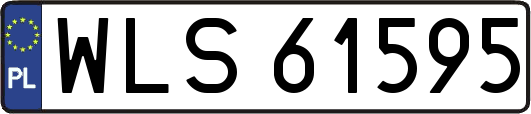 WLS61595