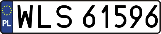 WLS61596