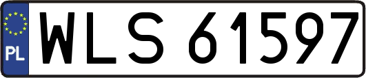 WLS61597