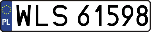 WLS61598