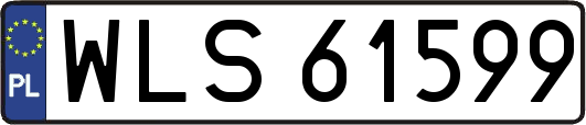WLS61599
