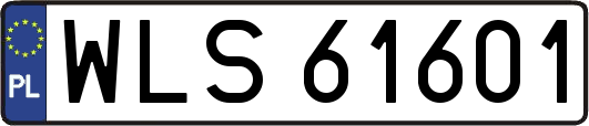 WLS61601