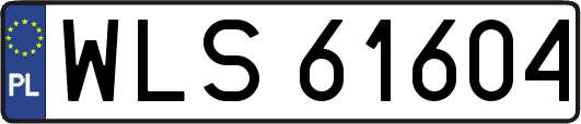 WLS61604