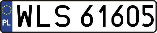 WLS61605