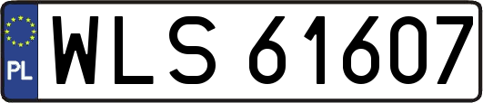 WLS61607