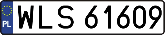 WLS61609