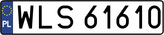 WLS61610