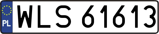 WLS61613