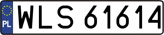 WLS61614