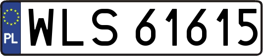 WLS61615
