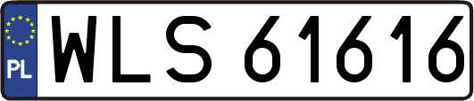 WLS61616