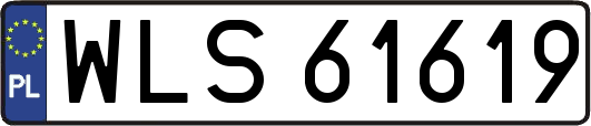 WLS61619