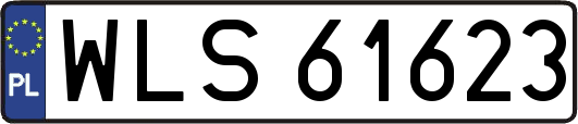 WLS61623
