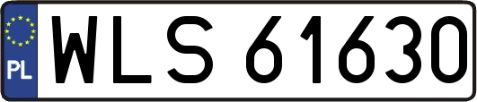WLS61630