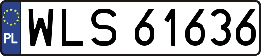 WLS61636
