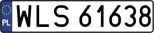 WLS61638