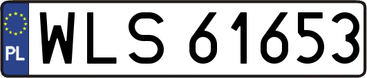 WLS61653