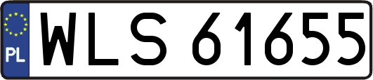 WLS61655