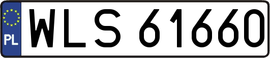 WLS61660