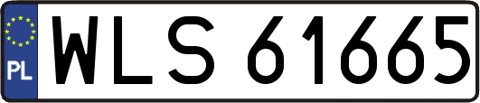 WLS61665