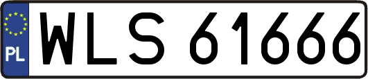 WLS61666