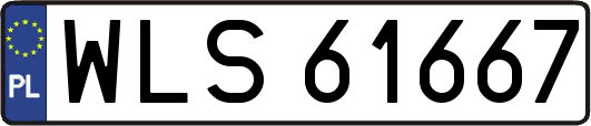 WLS61667