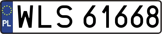 WLS61668