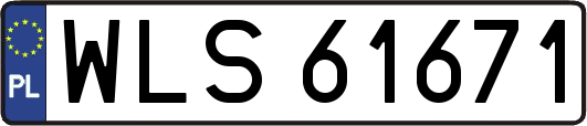 WLS61671