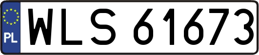 WLS61673