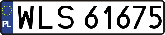 WLS61675
