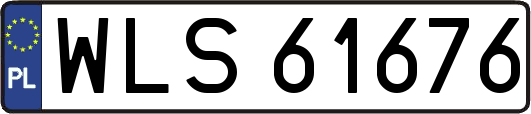 WLS61676